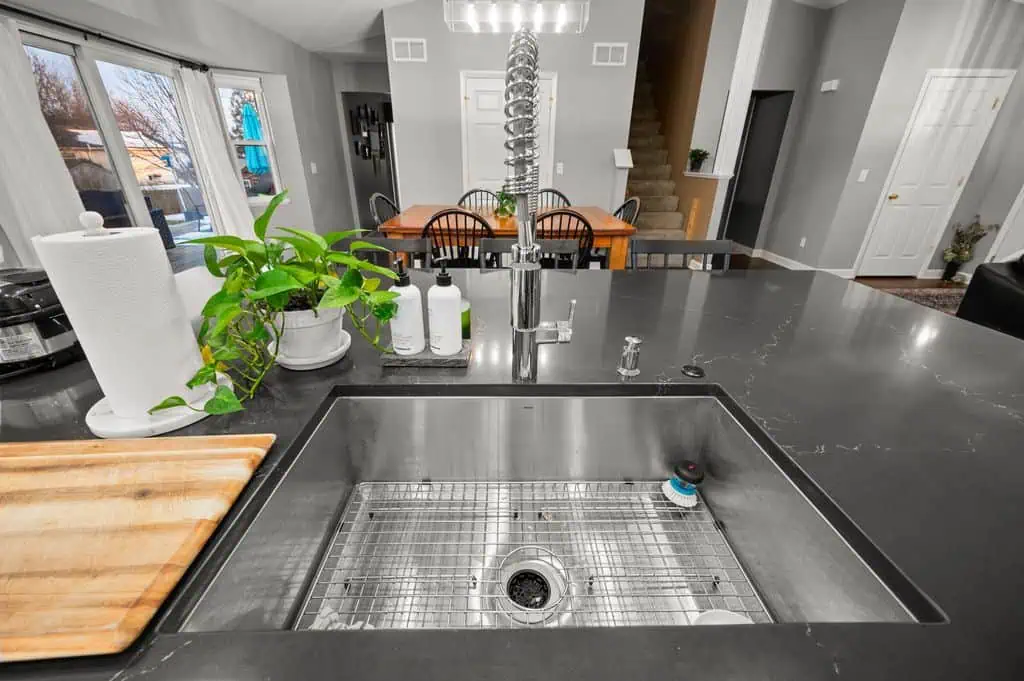 Kitchen remodel - sink